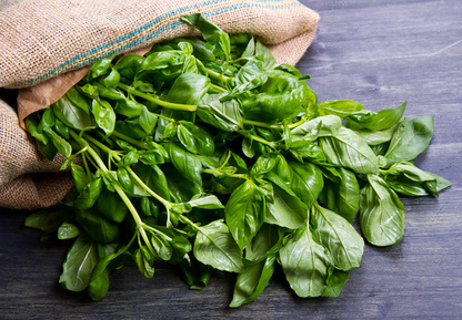 Health & Cooking Tip: Basil Basics  |  Basil Salad Recipe & Health Benefits